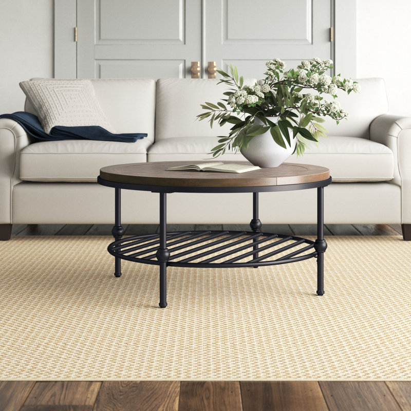 Roslin Coffee Table & Reviews Birch Lane